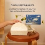 Hatch Restore 3 Sunrise Alarm Clock, Sound Machine, Smart Light (Greige) - White Noise, Screen-Free Sleep Routine - Image 6