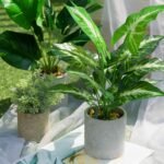 16" Small Fake Plants Artificial Tropical Faux Plants Indoor for Office Desk Shelf Bathroom Home Decor - Image 10