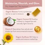 Moroccan Magic Organic Unscented Lip Balm 3 Pack | Ultra-Hydrating Argan Oil Lip Moisturizer + Vitamin E | Natural Chapstick for Dry Lips | Smooth, Non-Toxic | Organic Lip Balm - Image 5