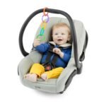 Bright Starts Lots of Links Rings Toys for Stroller or Carrier Seat, BPA-Free, Ages 0 Months Plus, Multicolor, 24 Count - Image 5