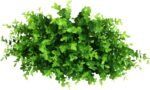 9 Bundles Fake Plants Artificial Boxwood Greenery 63 Stems Fade Resistant Faux Plastic Plants for Garden Farmhouse Porch Patio Window Box Wedding Office Home Indoor Outdoor Decor - Image 6