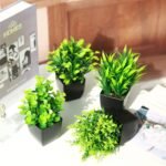 GREENTIME 4 Pack Fake Plants in Black Pot Mini Artificial Eucalyptus Potted Plant Small Faux Grass Greenery Potted for Indoor Home Office Farmhouse Bathroom Table Decoration - Image 8