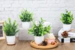 Der Rose Faux Plants Indoor, 4 Pack Small Fake Plants Mini Artificial Plants in Pots for Home Office Shelf Farmhouse Bathroom Decor - Image 5