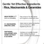 ANUA Rice Ceramide 7 Hydrating Barrier Serum, Moisturizing Serum for Face, Rice, Hyaluronic Acid, Niacinamide, Fragrance Free, Non-comodogenic, Glass Skin, Korean Skin Care, 50ml/1.69fl.oz. - Image 5