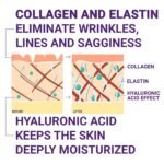 Neck and Decollete Firming Cream for Women - Neck Firming and Tightening Cream with Advanced Stem Cell, Peptides, Collagen & Hyaluronic Acid for Skin Tightening and Lifting, 3.38 fl oz - Image 8