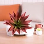 Veryhome Succulents Plants Artificial Aloe Plant, 12.5Inch Large Faux Succulents Unpotted, Premium Crafting DIY Greenery Decor for Indoor & Outdoor(Red) - Image 4