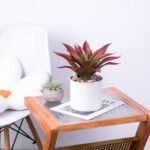 Veryhome Succulents Plants Artificial Aloe Plant, 12.5Inch Large Faux Succulents Unpotted, Premium Crafting DIY Greenery Decor for Indoor & Outdoor(Red) - Image 5