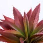 Veryhome Succulents Plants Artificial Aloe Plant, 12.5Inch Large Faux Succulents Unpotted, Premium Crafting DIY Greenery Decor for Indoor & Outdoor(Red) - Image 6