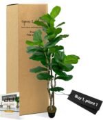 Cypress & Alabaster Handmade 6ft Oversized Fiddle Leaf Fig Ficus Lyrata Artificial Tree with Ethically Sourced Real Wood Trunks, Hypoallergenic, 6-Foot, Green - Image 10