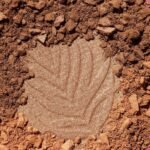 wet n wild Color Icon Bronzer What Shady Beaches - Image 12