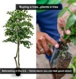 Cypress & Alabaster Handmade 6ft Italian Black Olive Leaf Artificial Tree with Ethically Sourced Real Wood Trunks, Hypoallergenic, 6-Foot, Green - Image 3