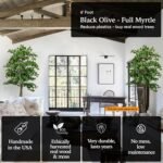 Cypress & Alabaster Handmade 6ft Italian Black Olive Leaf Artificial Tree with Ethically Sourced Real Wood Trunks, Hypoallergenic, 6-Foot, Green - Image 4