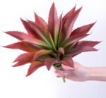 Veryhome Succulents Plants Artificial Aloe Plant, 12.5Inch Large Faux Succulents Unpotted, Premium Crafting DIY Greenery Decor for Indoor & Outdoor(Red) - Image 2