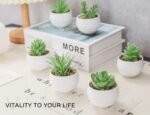 Der Rose 6 Pack Fake Plants Small Realistic Succulents Plants Artificial for Home Room Decor Indoor - Image 6