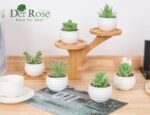 Der Rose 6 Pack Fake Plants Small Realistic Succulents Plants Artificial for Home Room Decor Indoor - Image 7