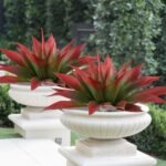 Artificial Agave Plants,Large UV Resistant Fake Agave Planters for Indoor and Outdoor Decorating Tropical Plant Succulents Greenery Indoor Decor (2Pack,22" Red) - Image 6