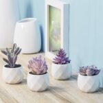 CADNLY Fake Succulent Plant Set - Artificial Desk Plants for Women Desk - Realistic Faux Succulents in Ceramic Pots - Mini Purple Decor for Bedroom Bathroom Office Shelf 4 Pack - Image 3