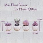 CADNLY Fake Succulent Plant Set - Artificial Desk Plants for Women Desk - Realistic Faux Succulents in Ceramic Pots - Mini Purple Decor for Bedroom Bathroom Office Shelf 4 Pack - Image 7