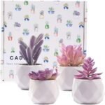 CADNLY Fake Succulent Plant Set - Artificial Desk Plants for Women Desk - Realistic Faux Succulents in Ceramic Pots - Mini Purple Decor for Bedroom Bathroom Office Shelf 4 Pack - Image 8
