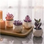 CADNLY Fake Succulent Plant Set - Artificial Desk Plants for Women Desk - Realistic Faux Succulents in Ceramic Pots - Mini Purple Decor for Bedroom Bathroom Office Shelf 4 Pack - Image 9