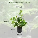 16 inch Artificial Plants Indoor Realistic Touching Evergreen Leaf Fake Plant with Creamic Black Pot for Home Office Living Room Bathroom Office Table Bookshelf Decor - Image 4