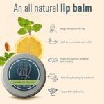 The Ilex Wood - All Natural Lip Balm - Lemon Balm and Peppermint - Cold Sore Treatment for Lips, Palm Oil Free, Cruelty Free, Plastic Free, Moisturising Lip Balm, Handcrafted - 10ml (0.34 fl oz) - Image 7