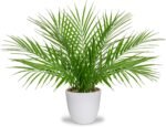Briful Fake Plant 15’’ Artificial Palm Plant in White Pot Real Touch Faux Tropical Palm Tree Houseplant for Home Indoor Living Room Tabletop Balcony Decorations - Image 2